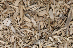 biomass boilers Critchmere